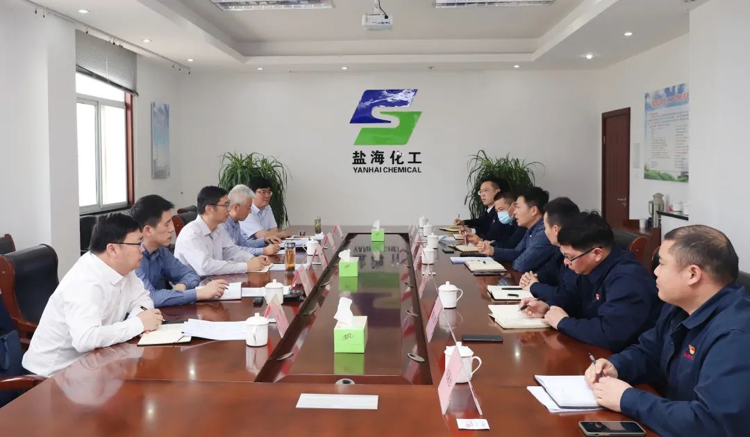 集团党委书记　董事长章朝阳赴盐海化工公司、瑞泰盐业公司调研