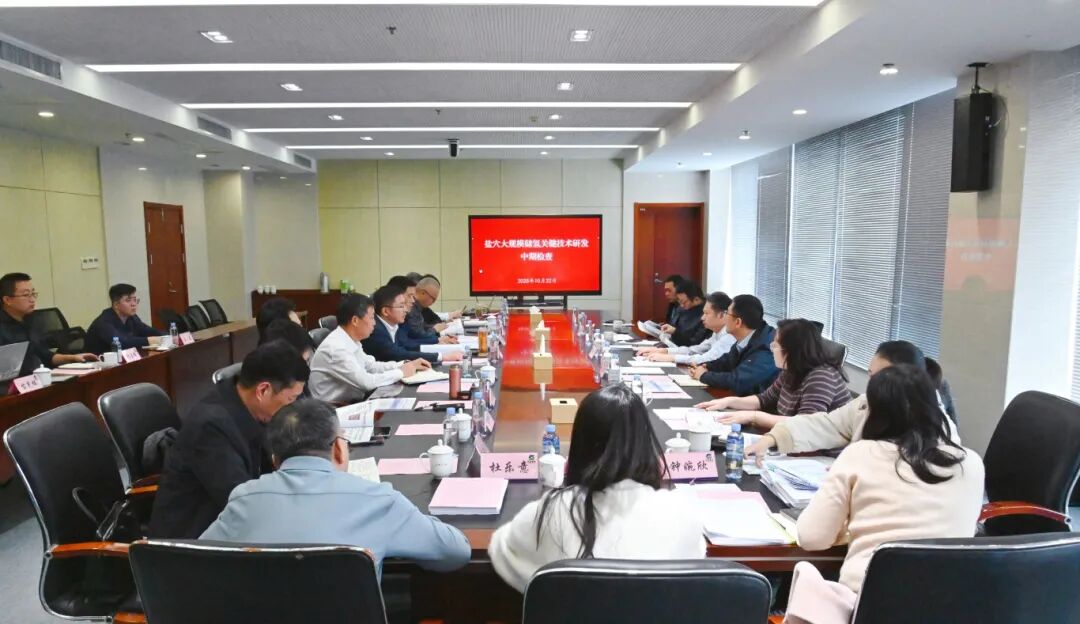 “盐穴大规模储氢关键技术研发”项目顺利通过中期检查